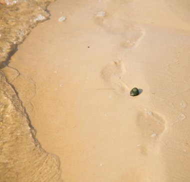 Bir plajda denizin içinde belgili tanımlık geçmiş ile çakıl.