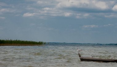 Bir gölde - bir tekne içinde oturan ve teknede ayakta su adlı üç martılar.