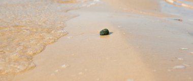 Bir plajda denizin içinde belgili tanımlık geçmiş ile çakıl.