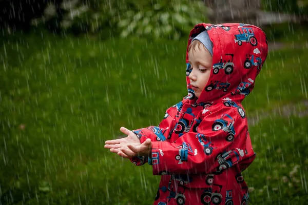 Little boy in a waterproof jacket in tractors catch the rain. Child having fun outdoors in summer shower.