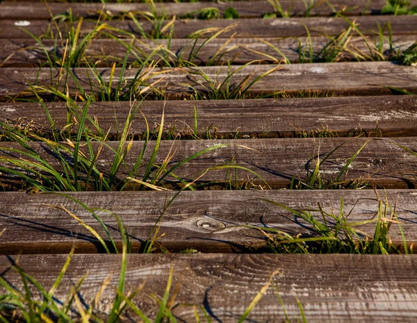 Puente Madera Sobre Hierba Verde Los Puentes Bajos Sendero Entre — Foto de Stock