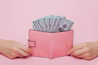 Dolar ve kopya alanı ile pembe bir arka plan üzerinde kadının elinde pembe cüzdan.