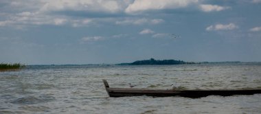 Bir gölde - bir tekne içinde oturan ve teknede ayakta su adlı iki martı.