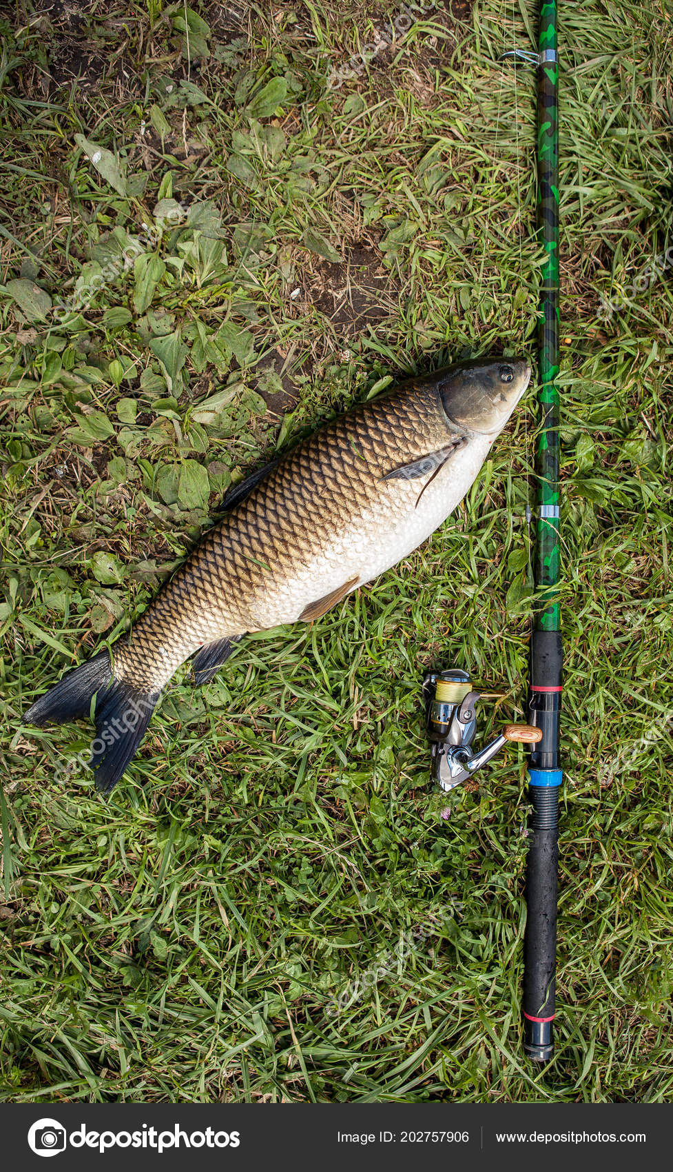 freshwater fishing pole