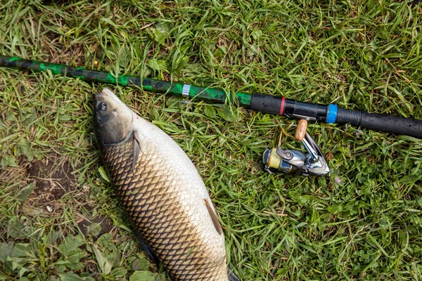 緑の芝生に淡水魚 釣りのリール付きの釣り竿をキャッチします 白の情事と緑の草の上に横たわるリールで釣り竿 釣りのコンセプト — ストック写真