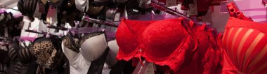 Vareity iç giyim iç çamaşırı Mağazası içinde asılı Bra. Reklam, satış, moda kavramı.