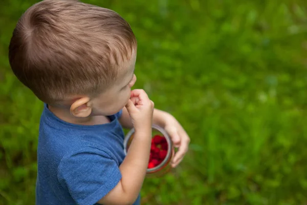 Niño Comiendo Frambuesas Frescas Bayas Frescas Concepto Alimentación Saludable —  Fotos de Stock