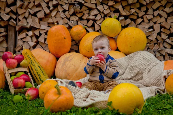 A little boy playing with an apple near pumpkins. Thanksgiving, Halloween — Stock Photo, Image