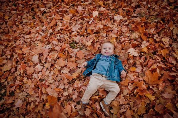穿蓝夹克快乐的小男孩正在玩叶在金色的秋天公园背景 — 图库照片