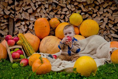 Küçük bir çocuk balkabağının yanında bir elmayla oynuyor. Şükran Günü, Cadılar Bayramı