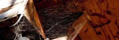 Eski ahşap banyo çatısı altında uzanan ince beyaz örümcek ağı. Cadılar Bayramı