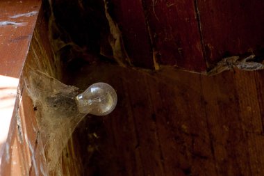 Örümcek ağı ile eski ampul.