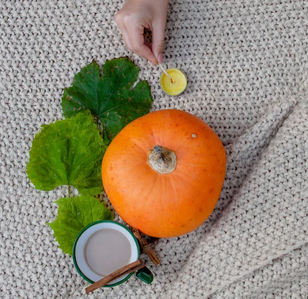 pumpkin spiced coffee with small pumpkin the coffee in a white mug with saucer and a cinnamon stick on a gray wooden background. Horizontal photo of pumpkin spiced coffee.