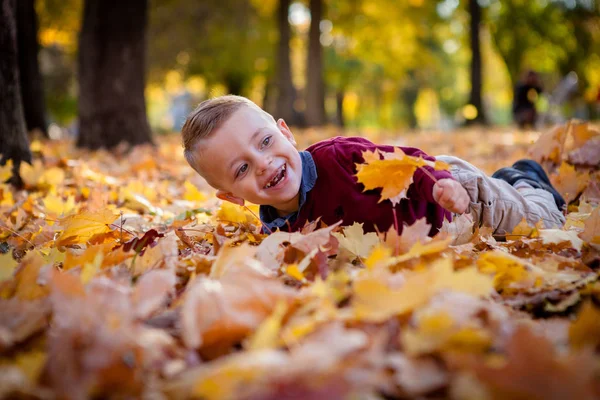 Эмоциональный портрет активного и веселого маленького мальчика, смотрящего со смехом вверх, лежащего на земле, покрытой желтыми листьями на фоне осеннего парка. Положительная энергия — стоковое фото