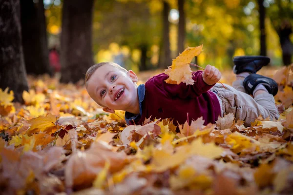 Emocjonalne portret active i wesoły, mały chłopiec, patrząc ze śmiechu do góry, podczas gdy leżącej na Ziemi pokryta żółtym pozostawia na tle jesiennych park. Pozytywnej energii — Zdjęcie stockowe