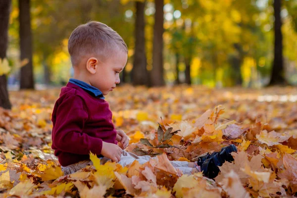 Emotionales Porträt eines aktiven und fröhlichen kleinen Jungen, der vor dem Hintergrund des Herbstparks lachend nach oben blickt, während er sich auf den mit gelben Blättern bedeckten Boden legt. positive Energie — Stockfoto