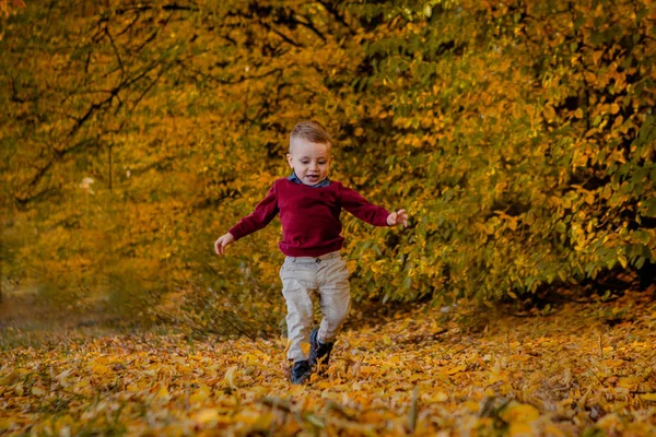 Il ragazzo attraversa il parco autunnale — Foto Stock