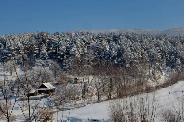 Hus Nära Vintern Fores — Stockfoto