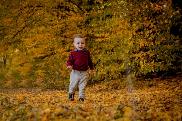 Der Junge Geht Durch Den Herbstpark — Stockfoto