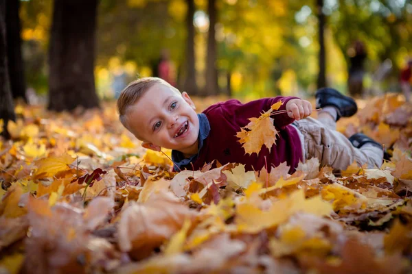 Emocjonalne portret active i wesoły, mały chłopiec, patrząc ze śmiechu do góry, podczas gdy leżącej na Ziemi pokryta żółtym pozostawia na tle jesiennych park. Pozytywnej energii — Zdjęcie stockowe