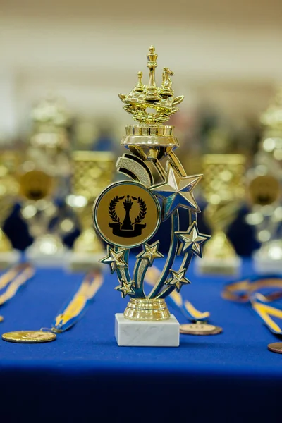 Zlatý Pohár Vítěze Šachy Pocity Hře Šachy — Stock fotografie