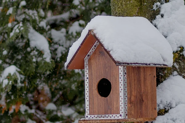 Alimentador de aves en el parque de invierno. Pájaro casa colgando al aire libre en invierno en el árbol cubierto de nieve —  Fotos de Stock