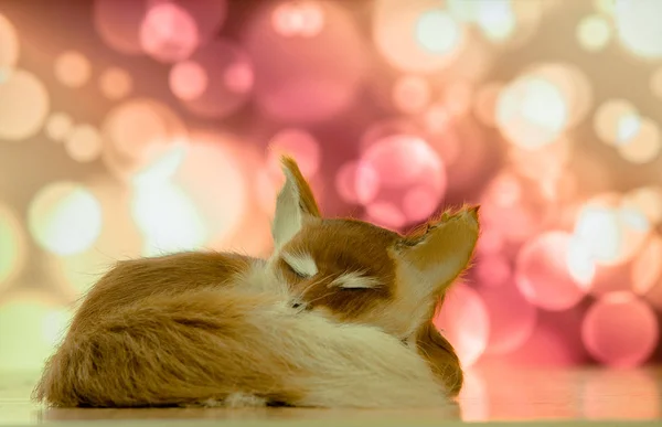 Γκρο πλαν αλεπού στον ύπνο στο φόντο των το bokee — Φωτογραφία Αρχείου