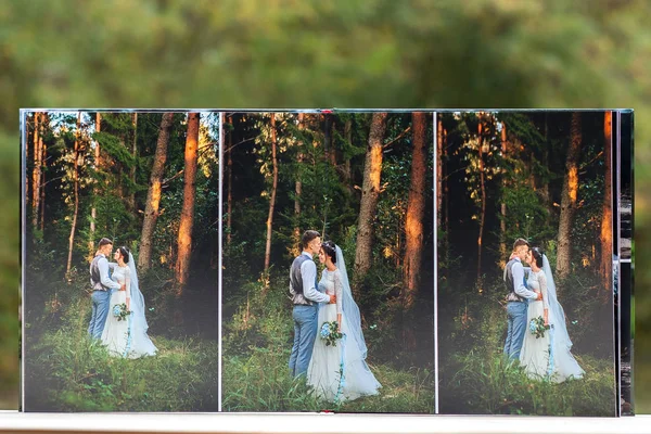 Сторінки весільного фотокниги або весільного альбому на зеленому фоні — стокове фото