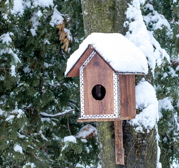 Kuş Besleme Yuvasına Kış Park Kuş Evi Açık Havada Ağaç — Stok fotoğraf