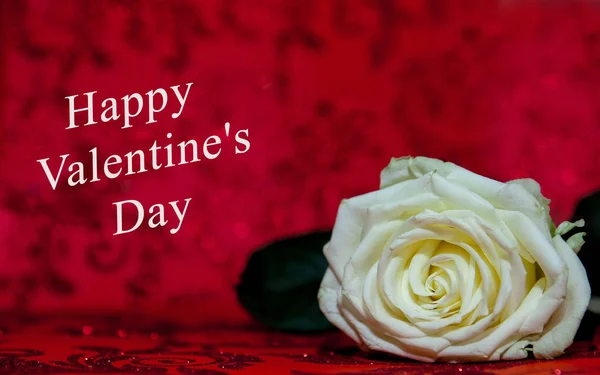 Біла троянда з отвором для день Святого Валентина на червоному тлі — стокове фото