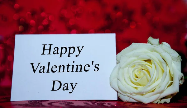 Біла Троянда Отвором День Святого Валентина Червоному Тлі — стокове фото