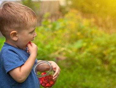 Taze ahududu yeme ufaklık. Taze çilek. Sağlıklı beslenme kavramı.