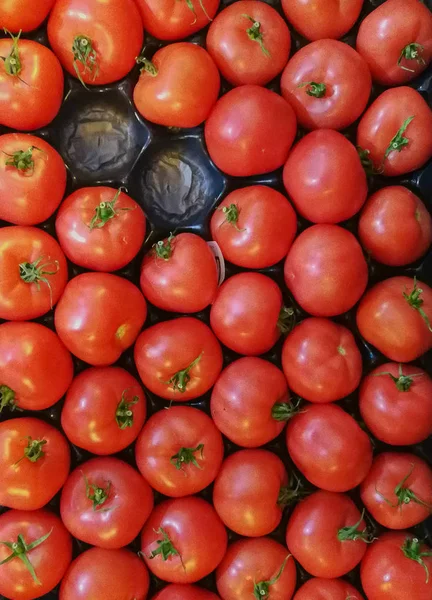 Vermelho Tomate Maduro Fundo Com Raízes Verdes Uma Gaveta — Fotografia de Stock