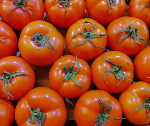 Φόντο Κόκκινο Ώριμες Ντομάτες Πράσινο Ρίζες Ένα Συρτάρι — Φωτογραφία Αρχείου