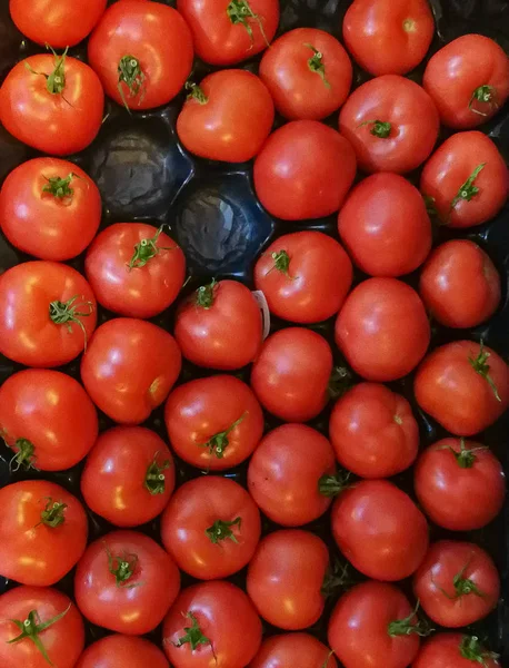 Fondo Rojo Tomates Maduros Con Raíces Verdes Cajón — Foto de Stock