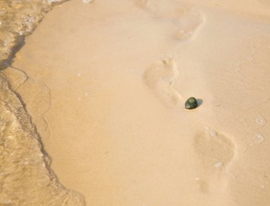 Bir plajda denizin içinde belgili tanımlık geçmiş ile çakıl