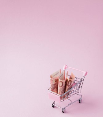 Süpermarket arabası tam Euro banknot kopya alanı ile pembe bir arka plan üzerinde. Serbest ticaret. para piyasası. Minimalizm tarzı. Süpermarkette alışveriş arabası. Satış, iskonto.