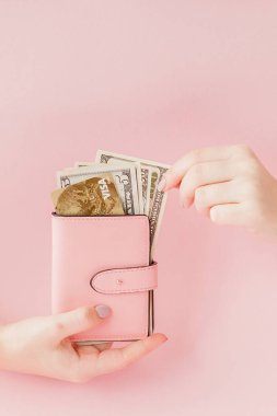 Dolar ve kadının elinde pembe bir arka plan üzerinde kredi kartıyla pembe cüzdan.