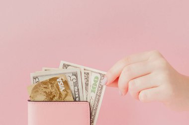 Dolar ve kadının elinde pembe bir arka plan üzerinde kredi kartıyla pembe cüzdan.