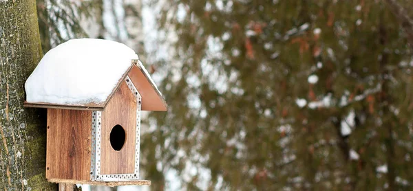 Besleyici kar kış ormandaki kuşlar için — Stok fotoğraf