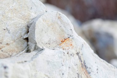 Beton duvar doku ve arka plan zor grunge kırık