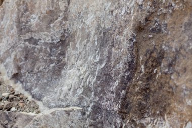 Gri bej taş doku. Rock. Taş arka plan. Kabartma yüzey. Uçakta güzel doğal desen. Raster görüntüye