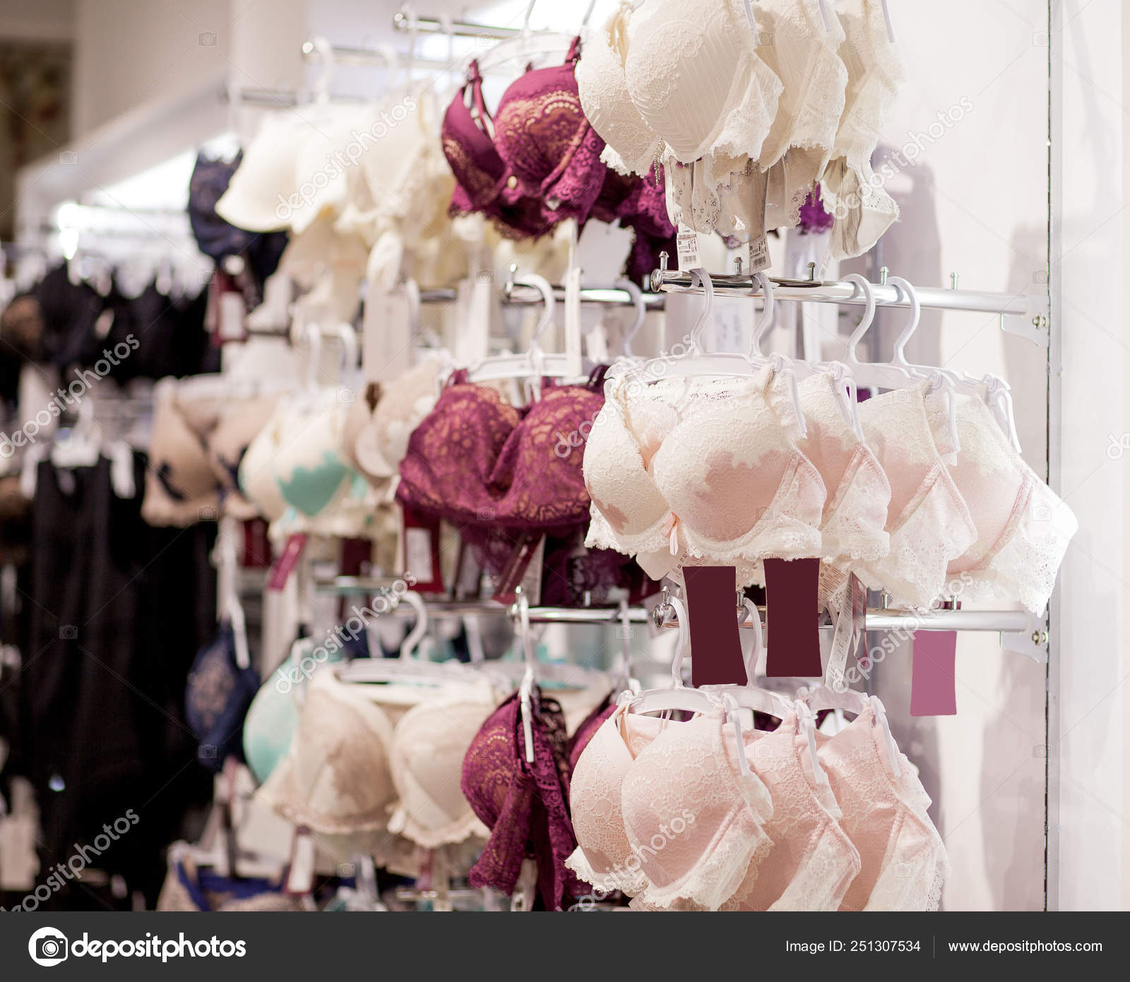 Women's bras for sale in market. Vareity of bra hanging in