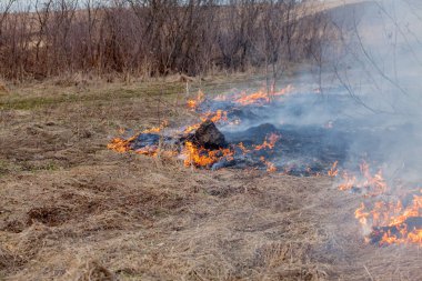 Kuru ot, kuru ot, yangın kavramı ve orman yakma aracılığıyla rüzgarlar içinde güçlü bir yangın yayılır