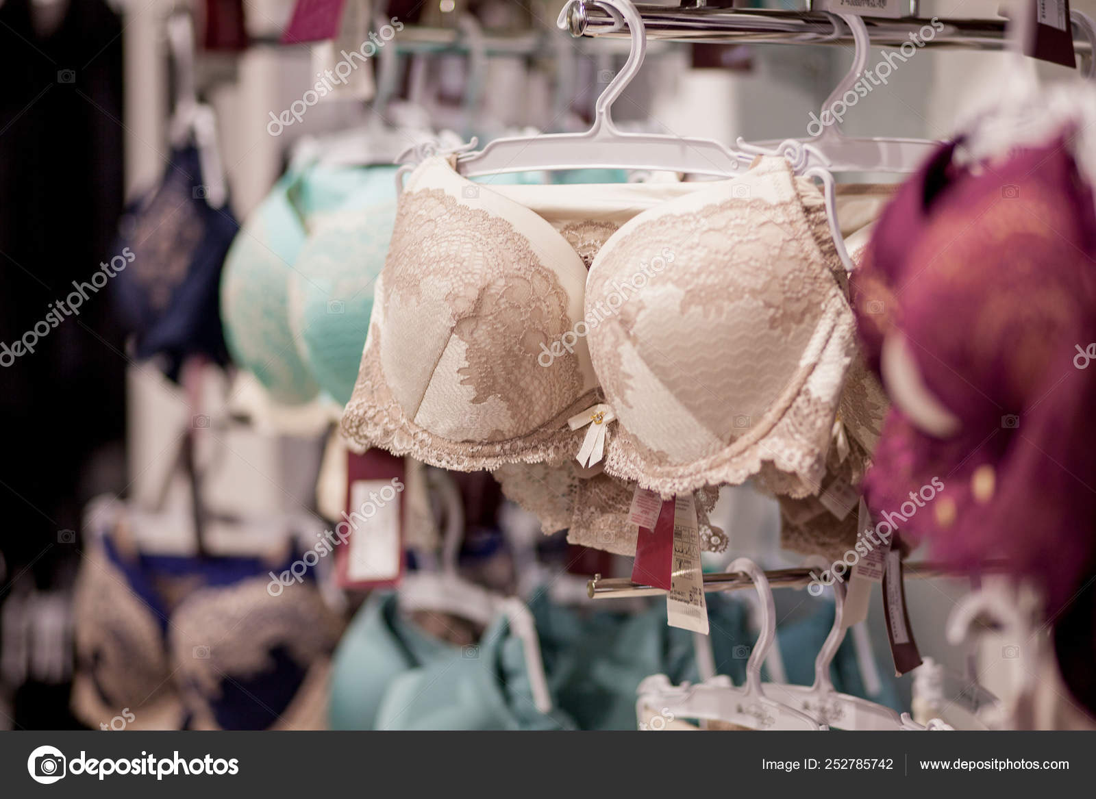 Women's bras for sale in market. Vareity of bra hanging in lingerie  underwear store. Advertise, Sale, Fashion concept Stock Photo by  ©volody100@ukr.net 252785742