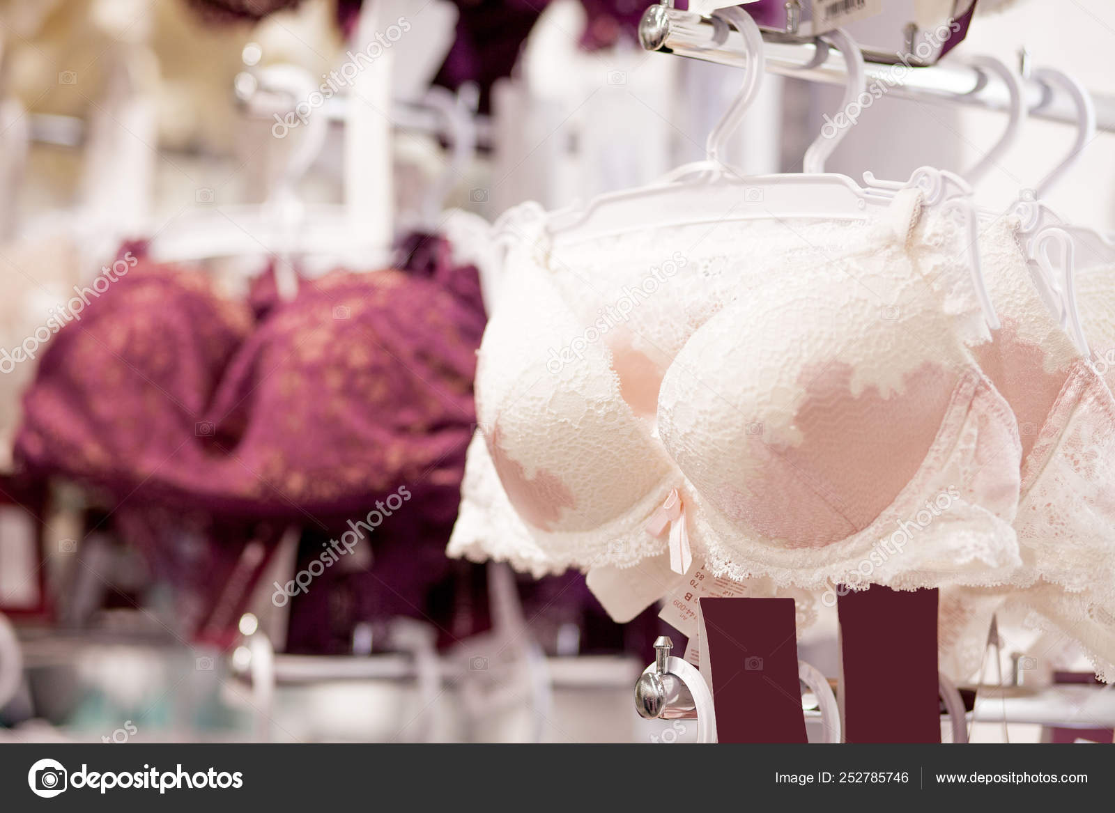 Women's bras for sale in market. Vareity of bra hanging in