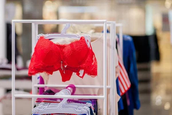 Vareity de sutiã pendurado na loja de roupa interior lingerie. Anunciar, Venda, Conceito de moda — Fotografia de Stock