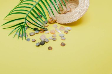 Yaz tatil arka plan. Tropikal yaz konsepti ile kadın moda aksesuarları, yaprakları ve sarı zemin üzerine deniz kabuklarını. Düz yatıyordu, en iyi görünümü