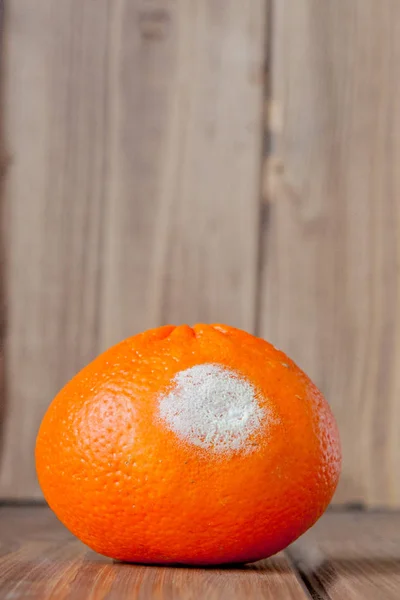 Ruttna mögliga apelsiner, mandariner på trä bakgrund. En foto o — Stockfoto