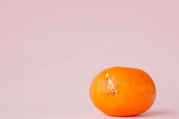 Σάπιο μουχλιασμένα πορτοκάλια, μανταρίνια σε ροζ φόντο. Μια φωτογραφία του — Φωτογραφία Αρχείου
